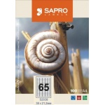 Купити Паперова наклейка SAPRO Labels А4 38х21,2мм 100 аркушів 65 наклейок біла (S2038)